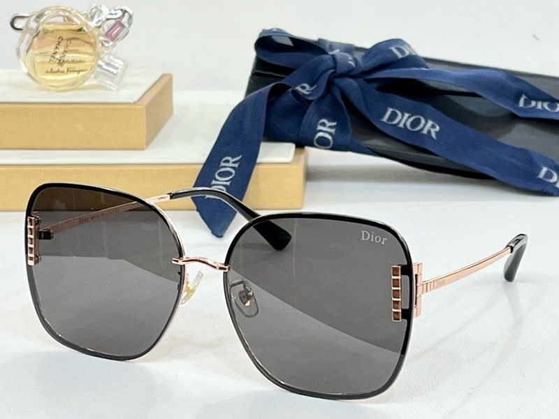 DIOR Sunglasses 103